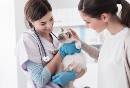 수의사와 고양이의 사진.