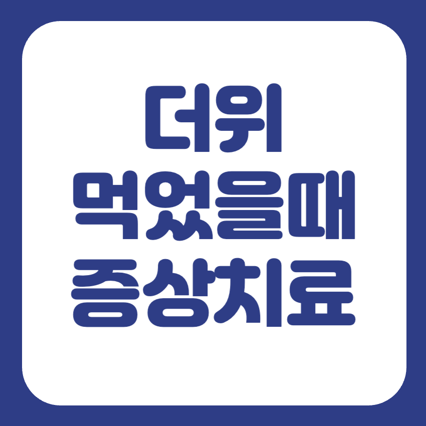 더위 먹었을 때 약 증상