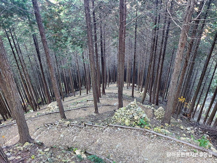 하동 가볼만한곳 베스트10