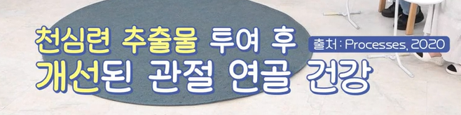 천심련 효능