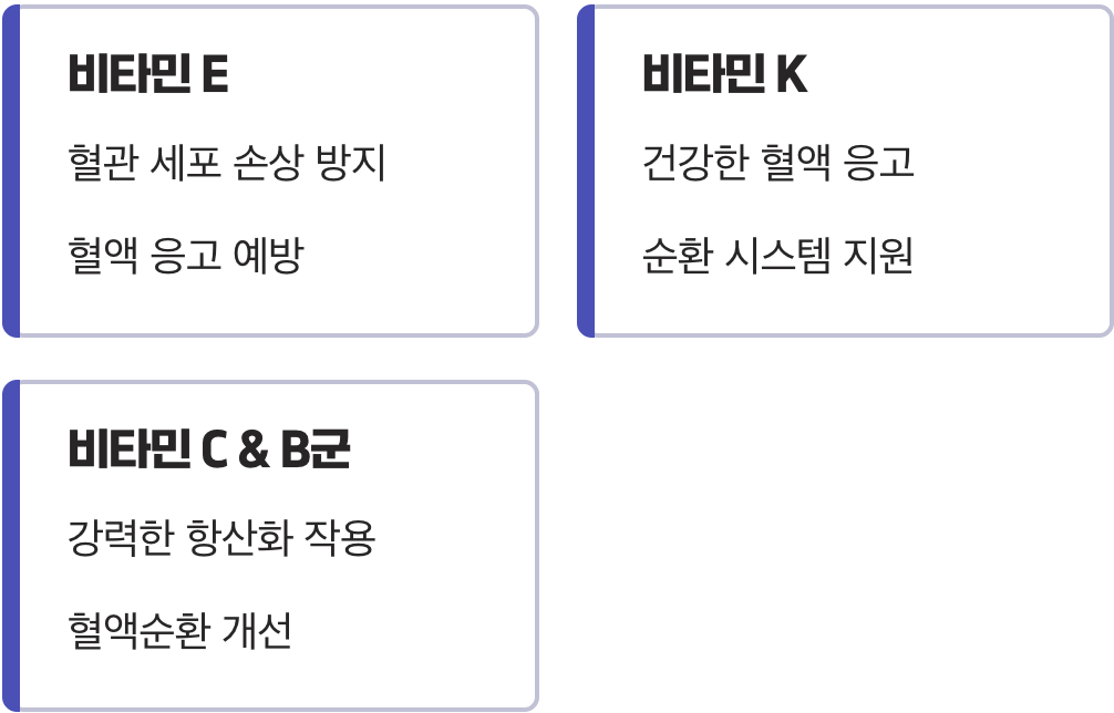 혈액순환의 파수꾼, 항산화 비타민 군단