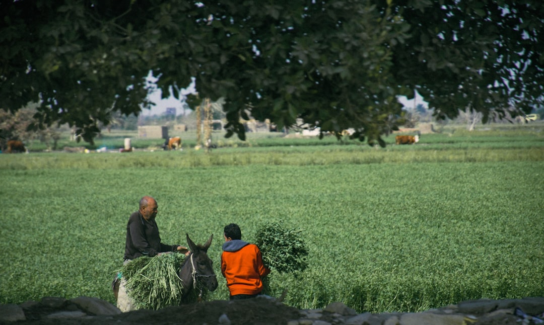 Agricultural pension