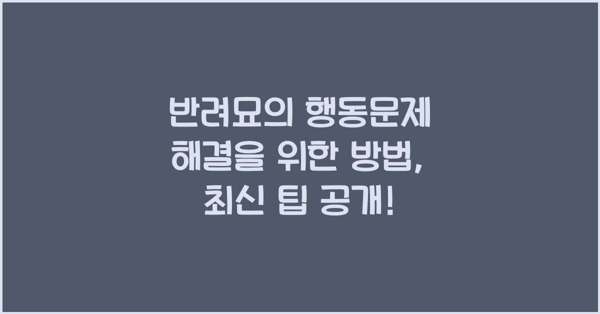 반려묘의 행동문제 해결을 위한 방법