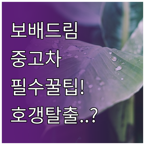 보배드림 자유게시판 역할과 중고차 구..