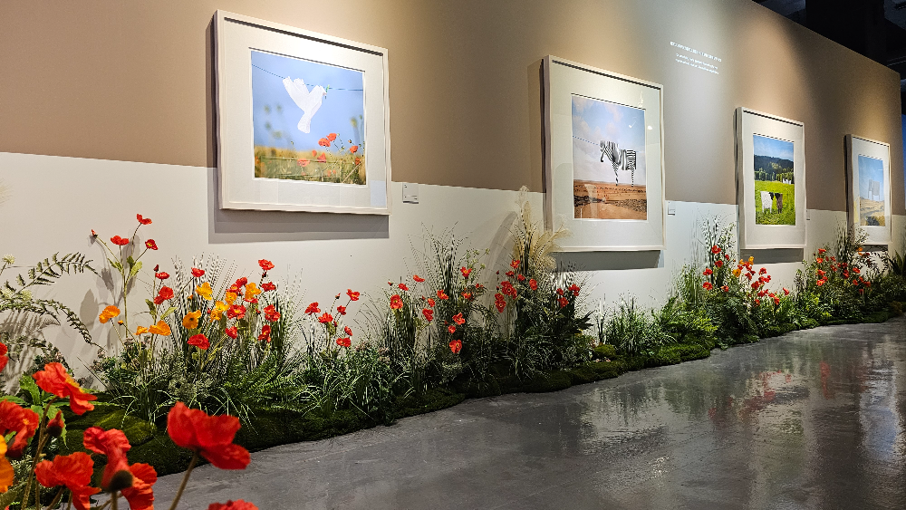 아쿠아플라넷 여수 헬가 스텐첼 특별전