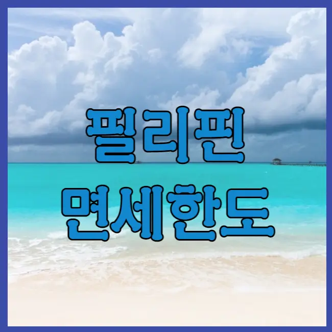필리핀 면세한도