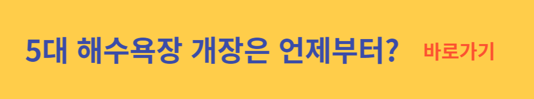 2024 한강 수영장 개장