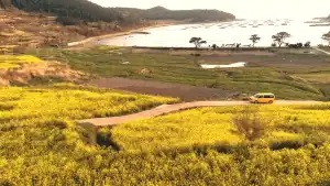 스타렉스 중고차 시세