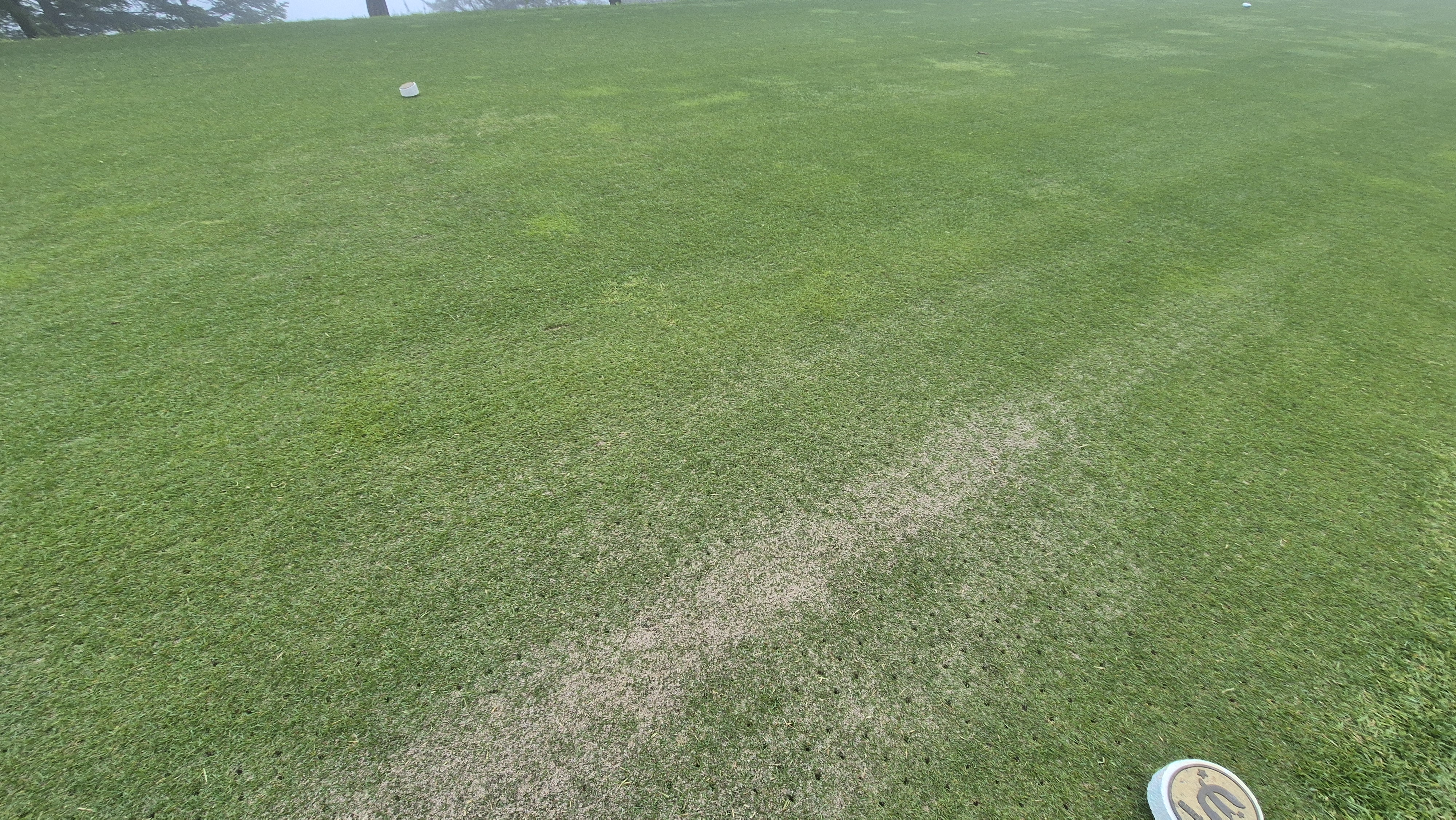 엘리시안 강촌cc 라운드 후기