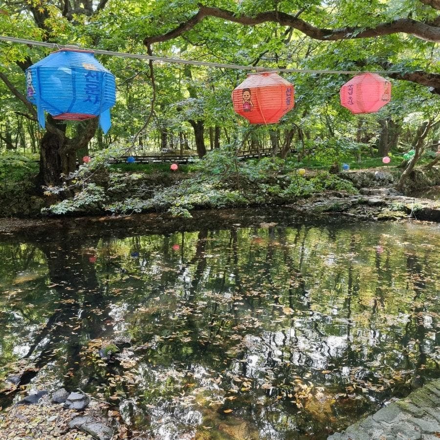 [4월 축제]사계절의 모습이 다 아름다운 고창 선운사❘동백꽃, 홍매화 사진 이벤트