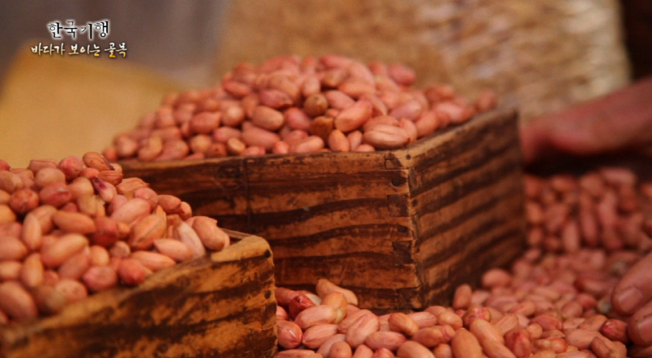 땅콩_보관법