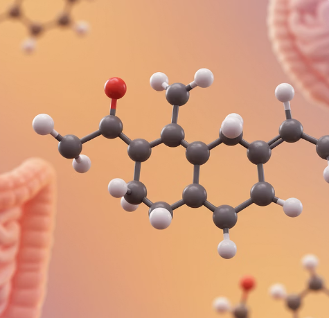 타우린&amp;#44; 너 정체가 뭐니?