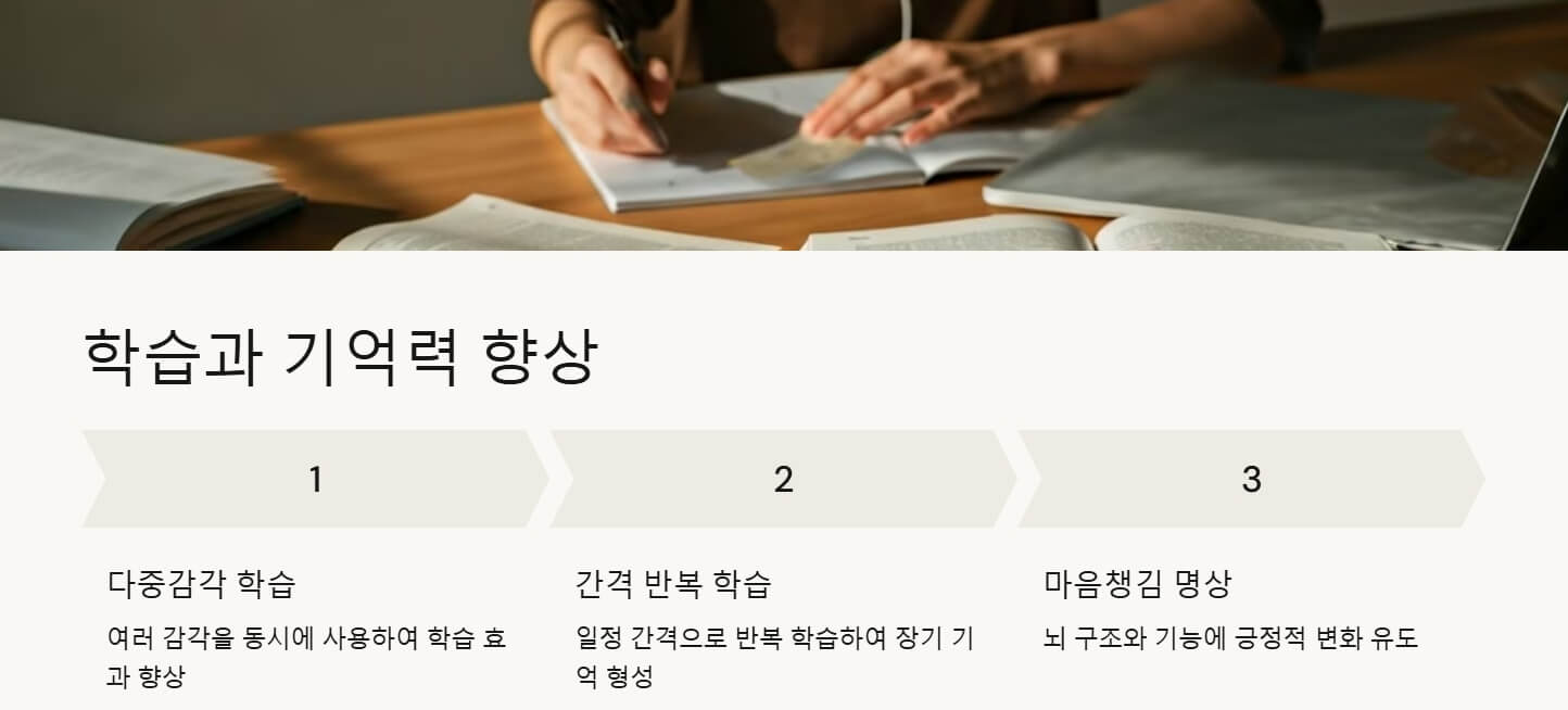 뇌의 가소성