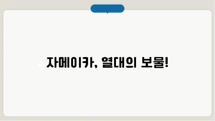 자메이카의 역사와 문화