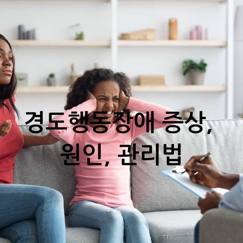 경도행동장애 증상, 원인, 관리법