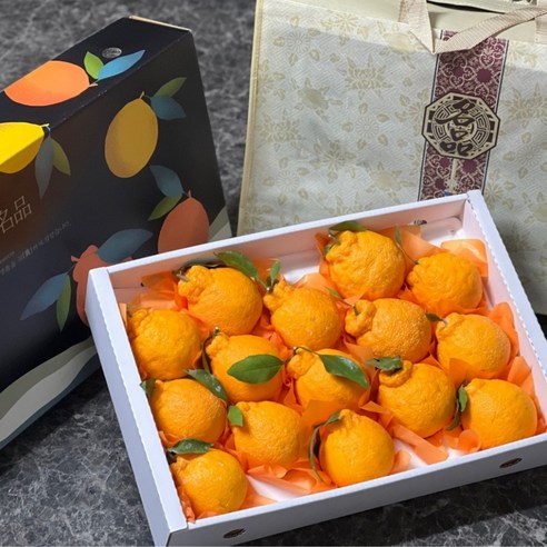 한라봉 선물세트 고르는 법, 추천정보