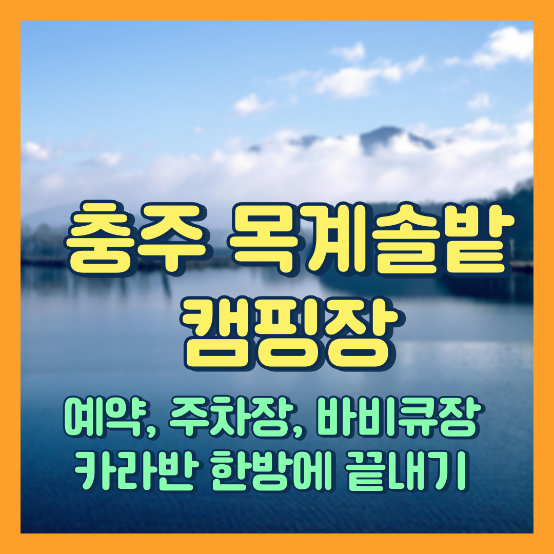 충주 목계솔밭 오토 캠핑장 카라반 예약, 주차장, 지도, 위치, 바비큐장 한방에 끝내기