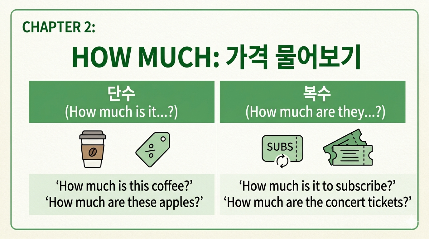 [기초영어] 가격 물어보기: How much? How much, How much is it, 쇼핑 영어