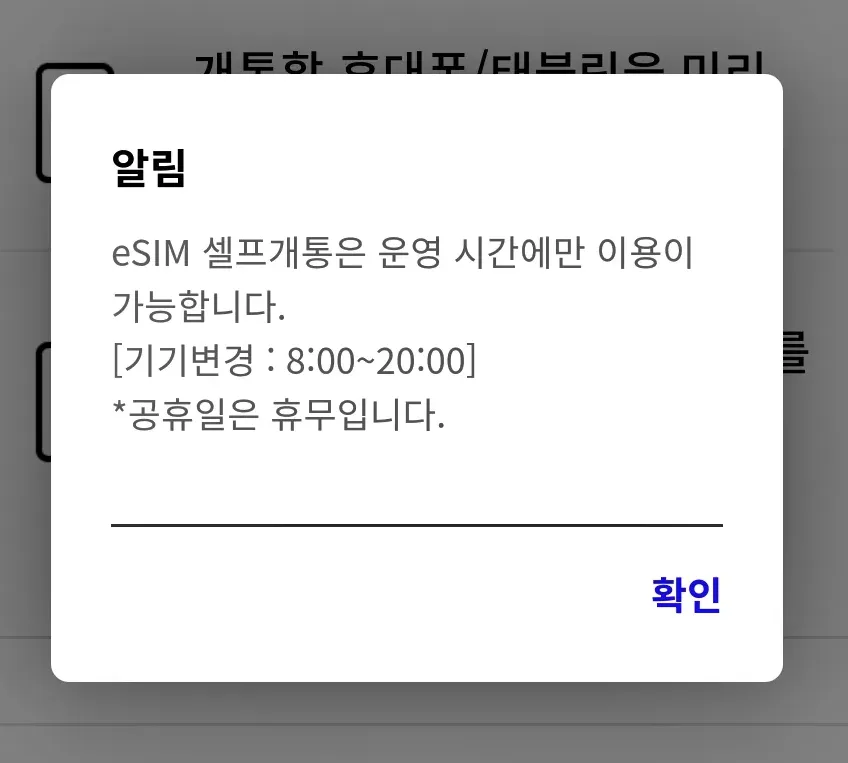 eSIM-개통가능시간-팝업-캡처