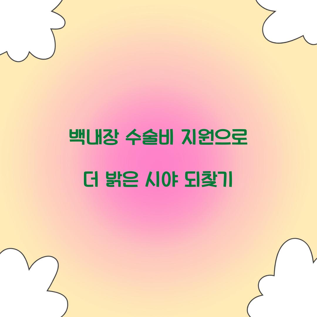 백내장 수술비 지원