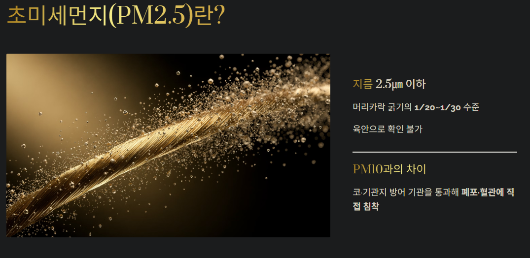 초미세먼지란