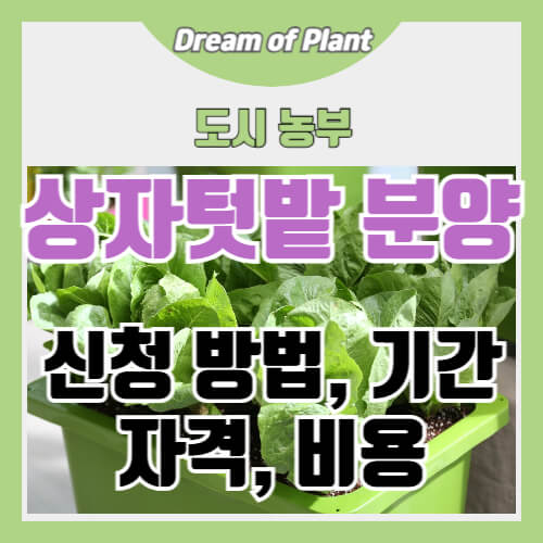 상자텃밭 분양 썸네일 이미지