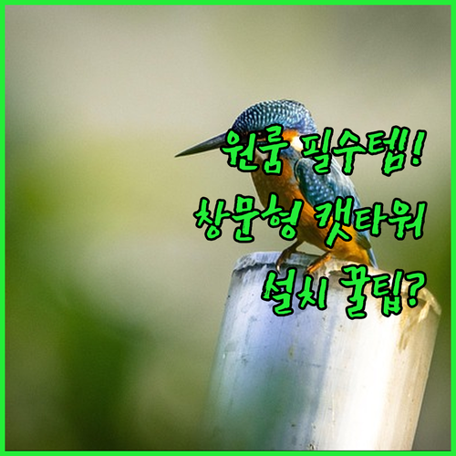 좁은 집 원룸 필수템 요기펫 캣선반 ..