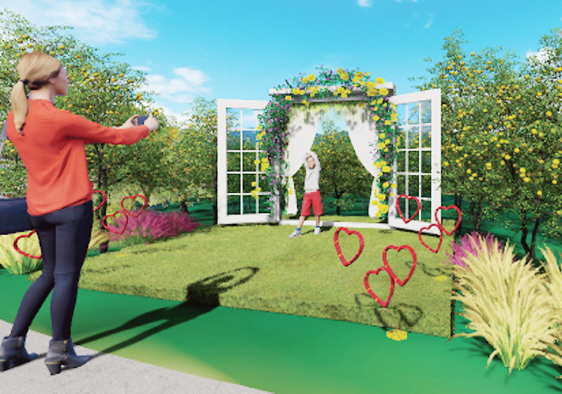 유자밭에서 사진찍는 방문객 