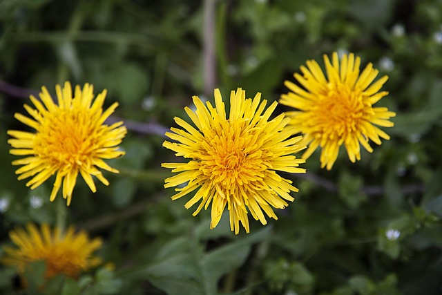 그 겨울, 바람이 분다