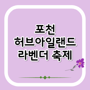 포천-허브아일랜드-라벤더-축제-썸네일