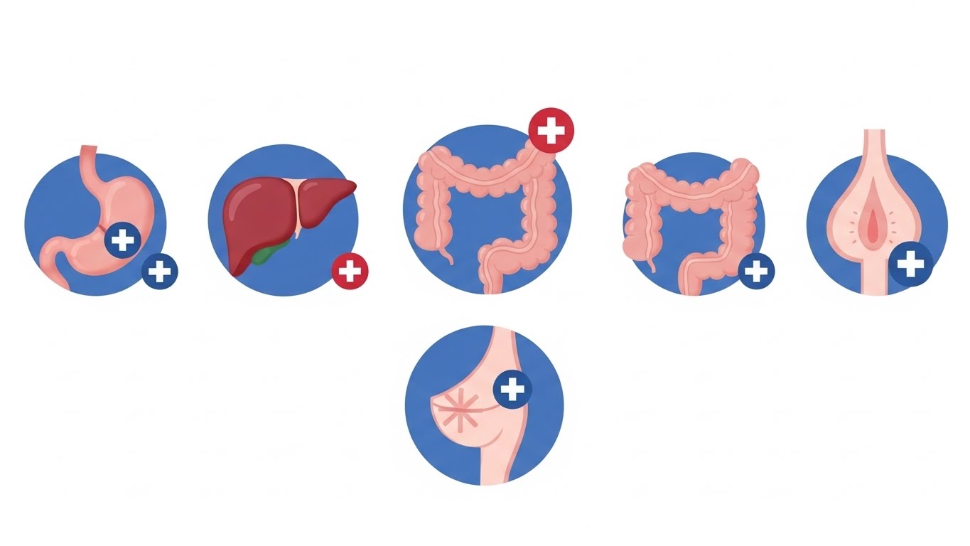 위암, 대장암, 간암 등 국가에서 무료로 지원하는 주요 암 검진 항목들을 상징하는 아이콘 모음