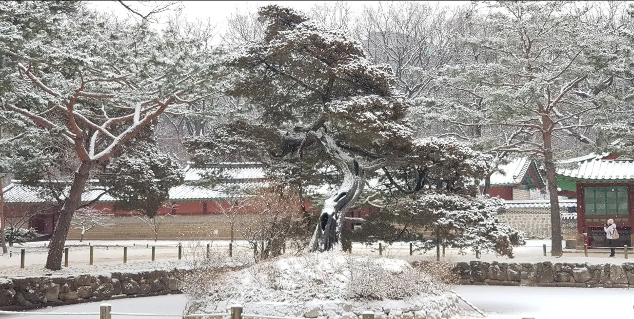 썸네일-눈오는날