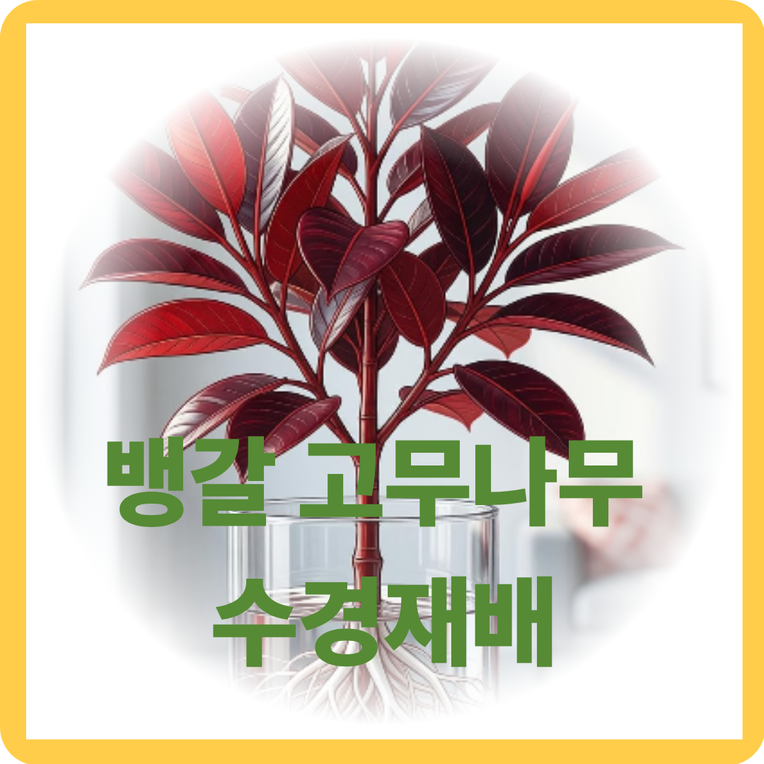 뱅갈 고무나무 수경재배로 키우는 방법 완벽 가이드