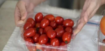 2주 이상 방울토마토 보관 시 꿀팁 오래 보관_13