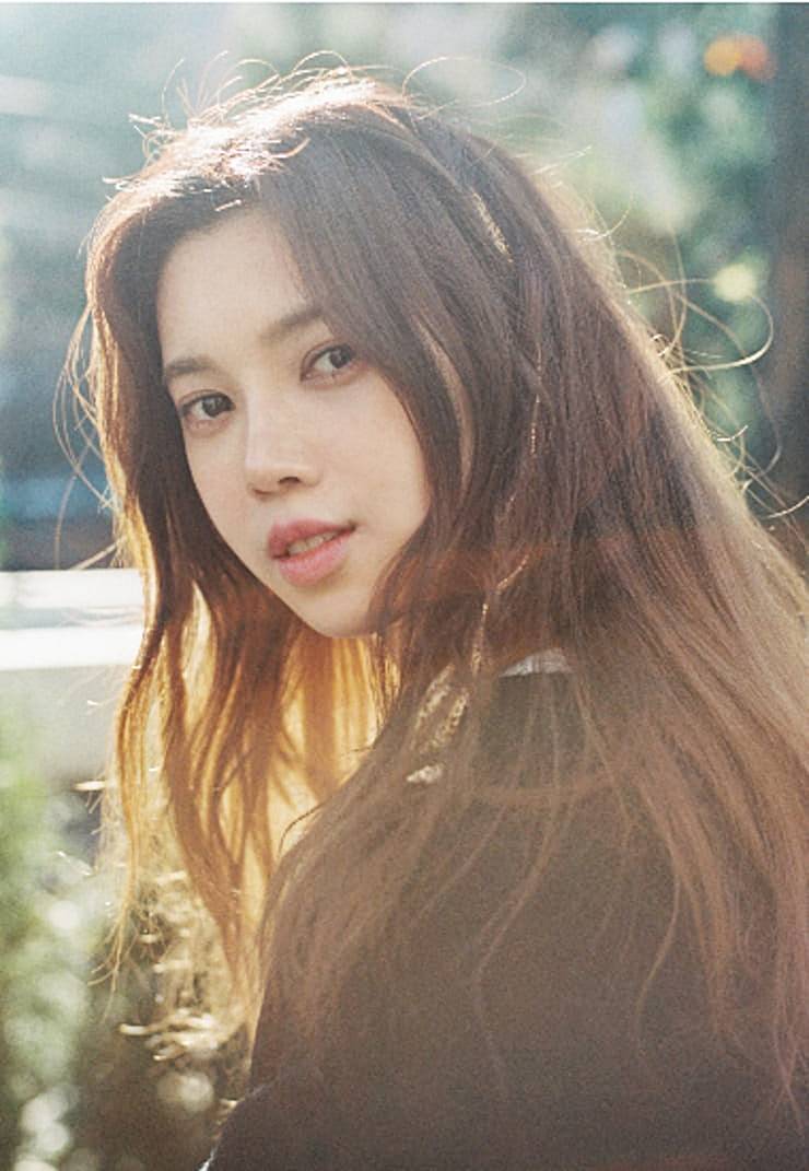 배다해