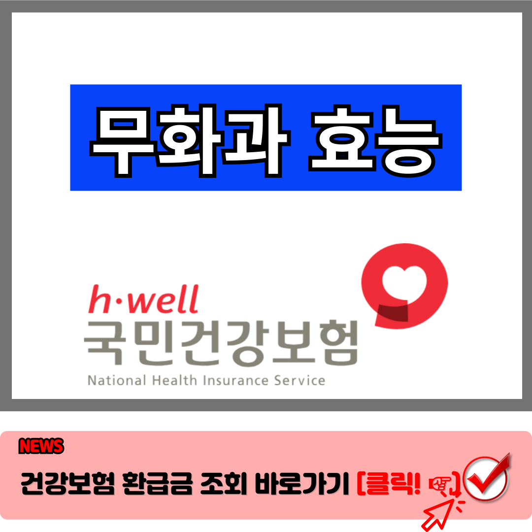 무화과 효능 및 부작용 총정리 : 자연이 준 건강 선물 챙기세요.