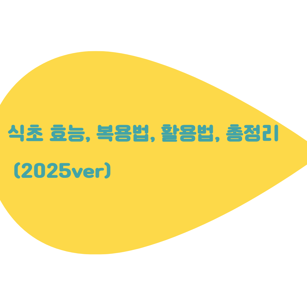 식초 효능, 복용법, 활용법, 총정리 (2025ver)
메인 키워드