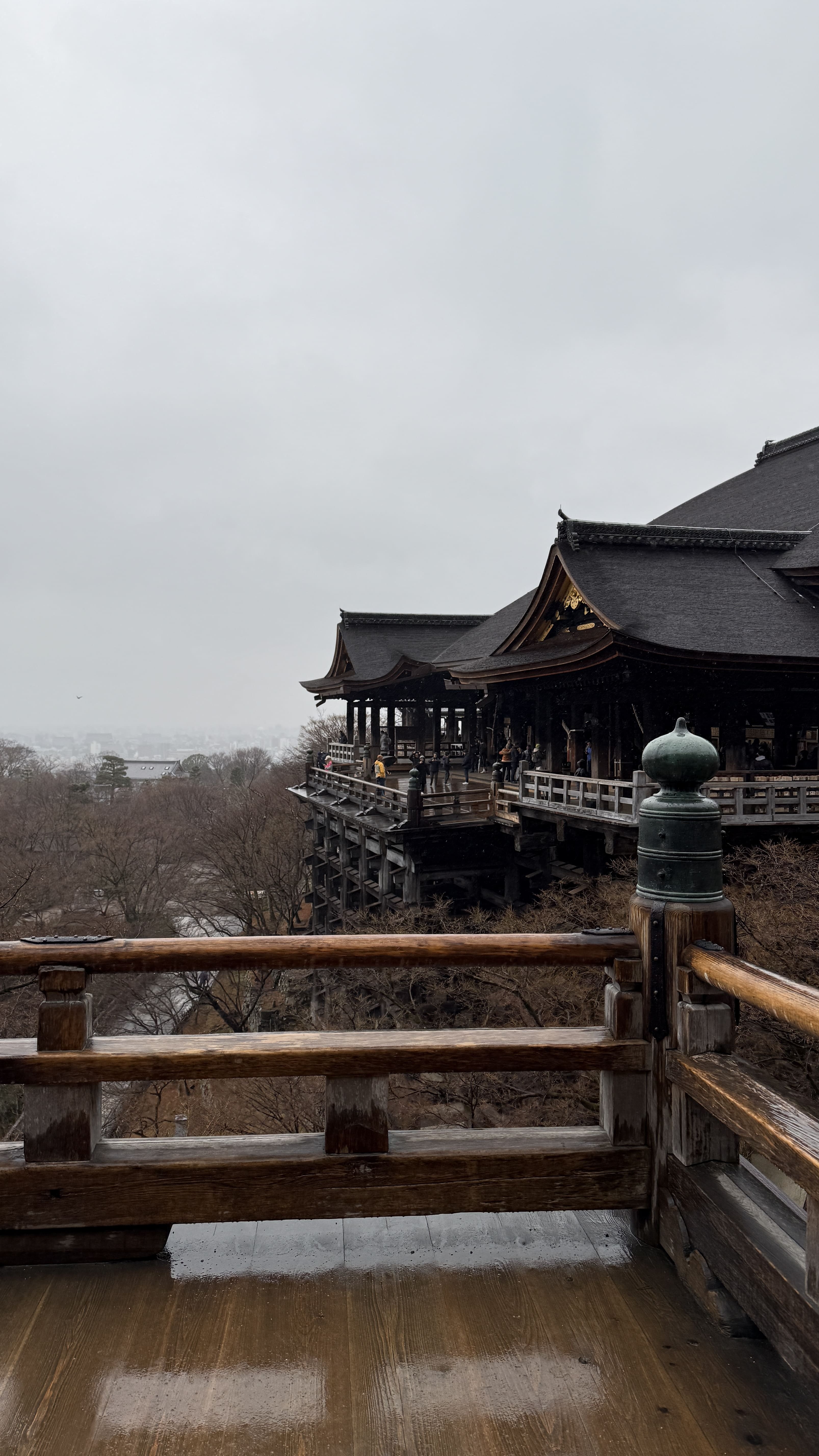 교토여행-기요미즈데라-가이세키-점심-파크-하얏트-교토