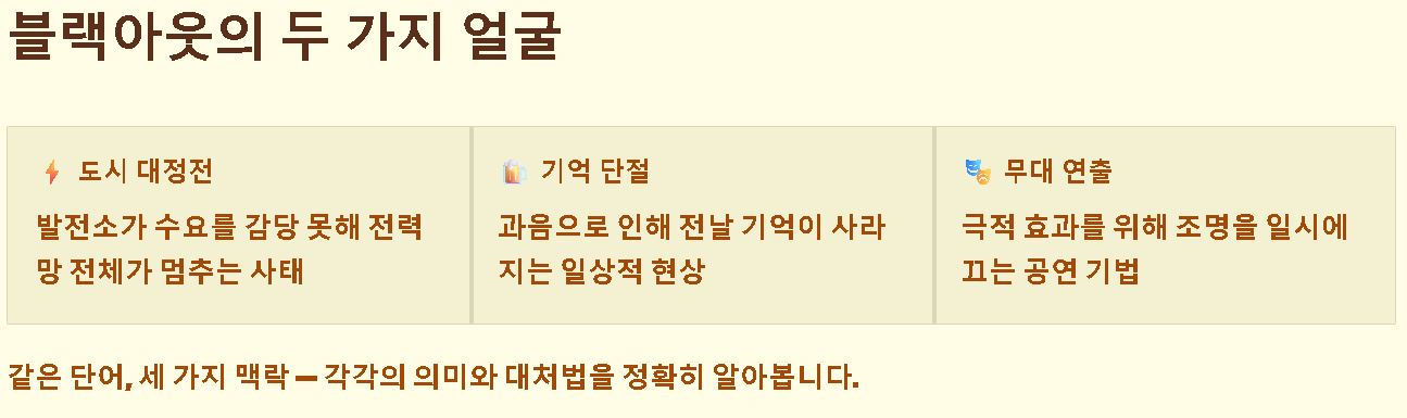 블랙아웃 뜻