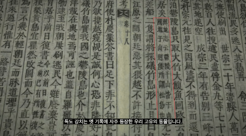독도 강치