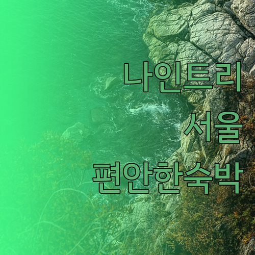 나인트리 바이 파르나스 서울 명동 2