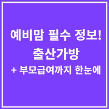 출산가방-리스트