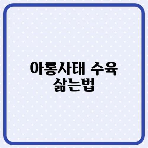아롱사태 수육 삶는법, 황금레시피 대공개