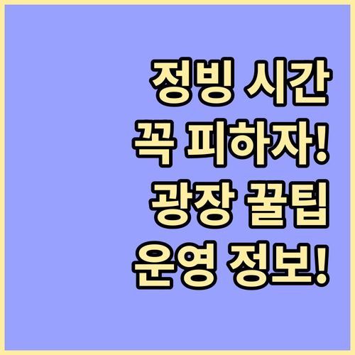 정빙 시간 피하기 서울광장 스케이트장..