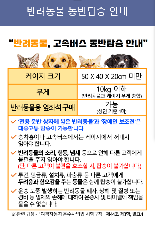 반려동물 고속버스 동반 탑승 안내