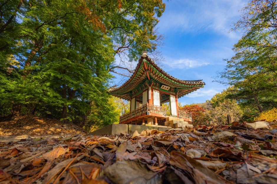 창덕궁-후원-승재정