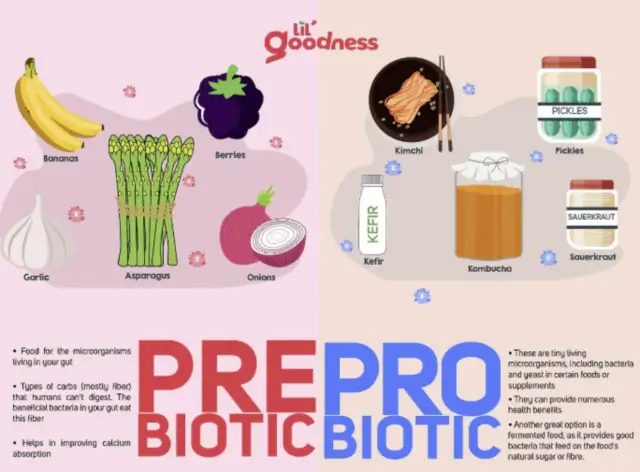 프로바이오틱스와-프리바이오틱스