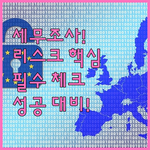 성공적인 세무조사 대비를 위한 선제적..