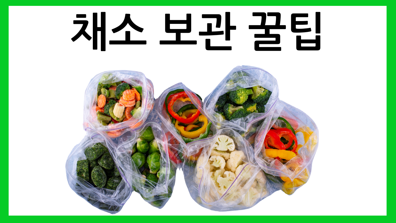 채소 보관 꿀팁