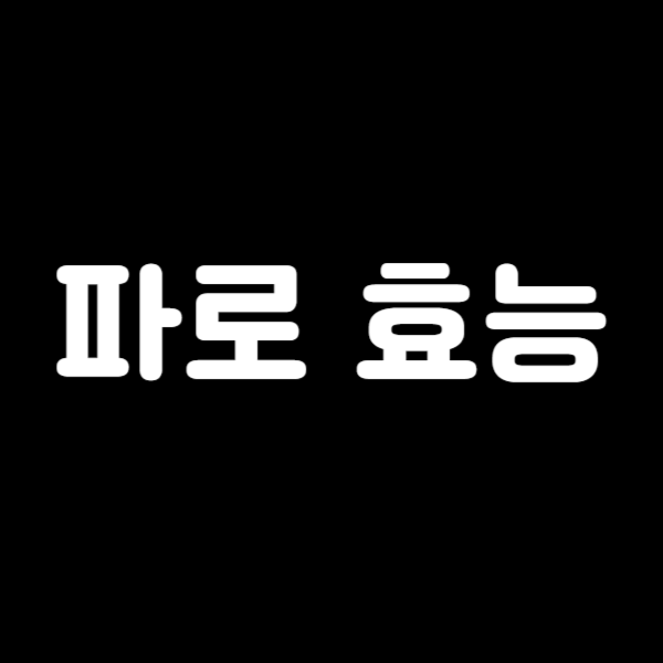 파로 효능